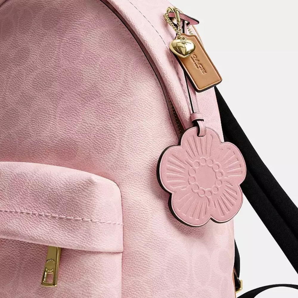 NWT！COACH Taylor Small Backpack In Signature With Charms（CEF46）fast shipping - Picture 13 of 13